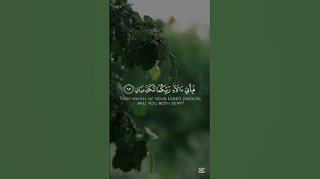 ما تيسر من سورة الرحمن القارئ إدريس أبكر