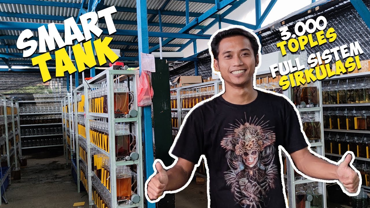 CARA KERJA SIMPLE 3000 TOPLES FULL SIRKULASI...(SMART TANK)
