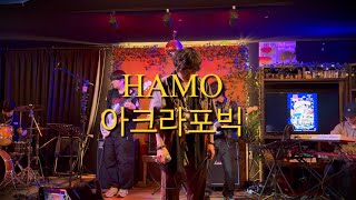 하모(hamo)-아크라포빅
