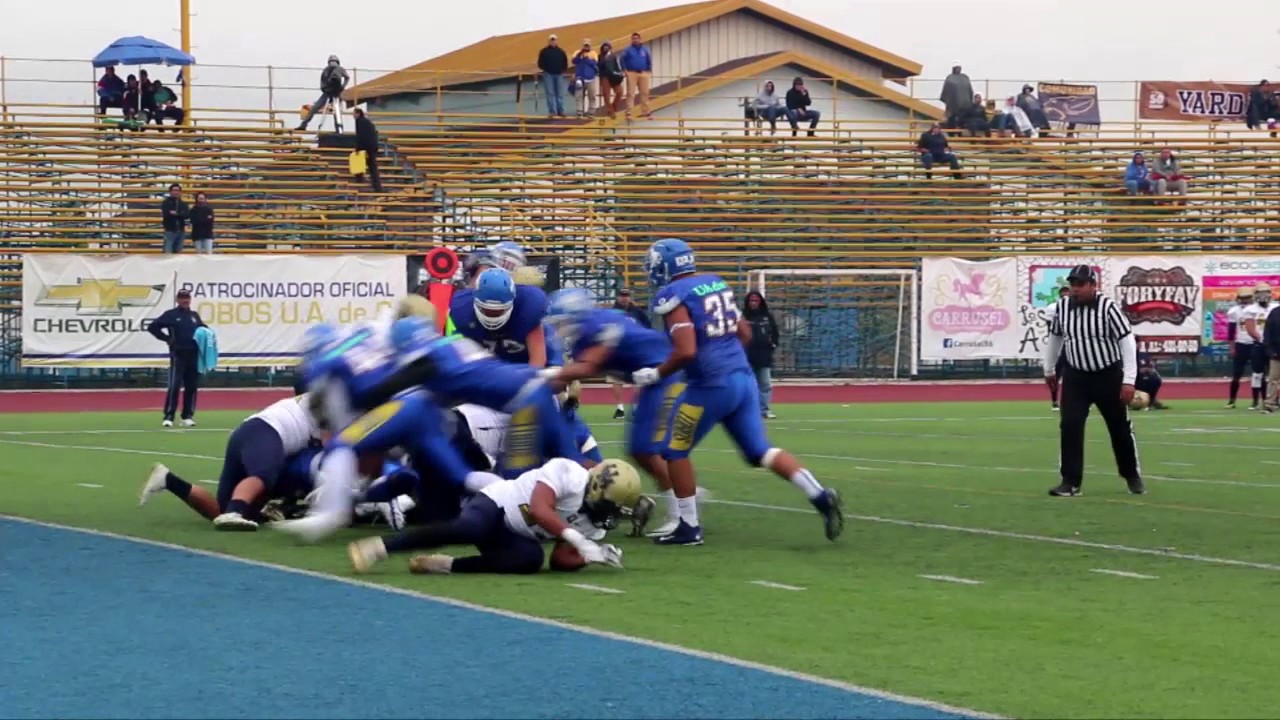 LOBOS vs PUMAS CU, Postemporada ONEFA 2016