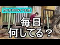 【ルーティン】田舎暮らしリタイア生活の一日 すぐ飽きる?