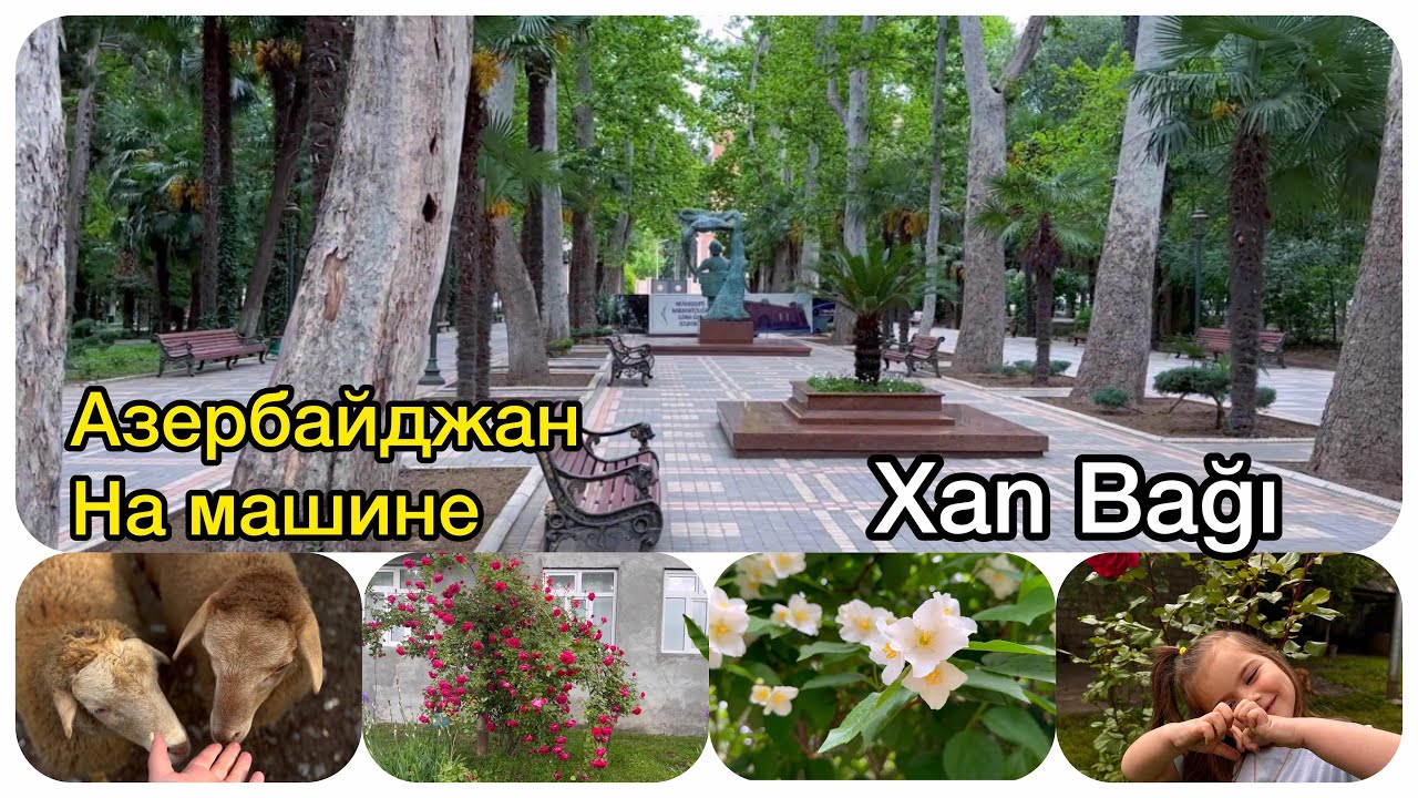 Хан сидит на машине