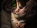 Your Plant Might Be Suffocating #PlantSoil #PlantCareTips #IndoorPlants #PlantHealth #PlantShorts