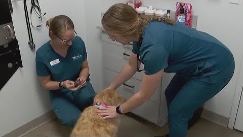 AHS program addresses vet tech shortage