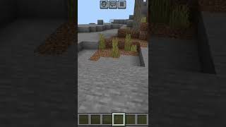 глобус в Майнкрафте #minecraft