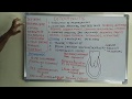 Osteomyelitis - etiopathogenesis and classification