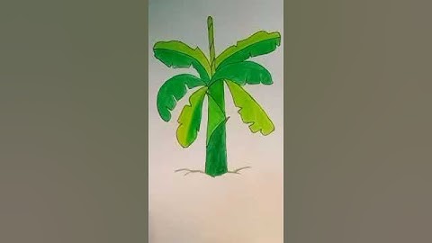 How to draw Banana Tree | Step by Step | Easy Drawing | Tree ||