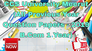 CCS University Meerut (All Previous Year Question Papers - 2019 B.Com 1 Year)