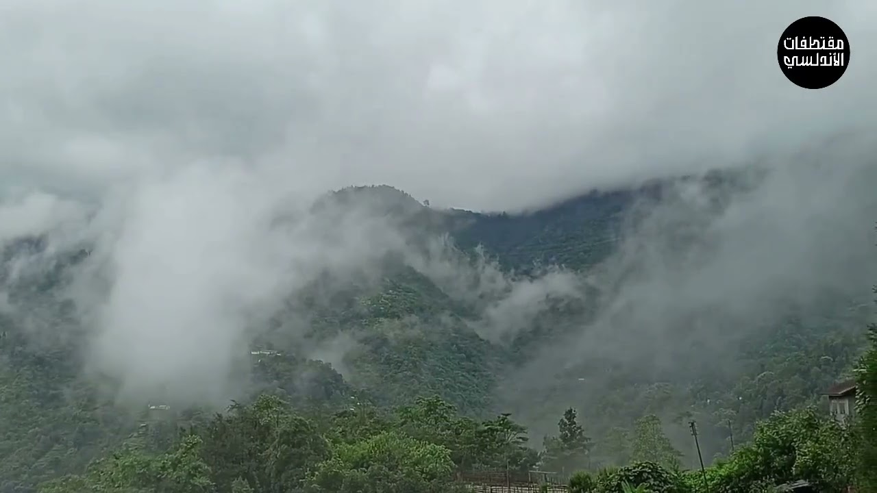 العبرة للغالب الشائع لا للنادر | الشيخ محمد بن سعيد الأندلسي