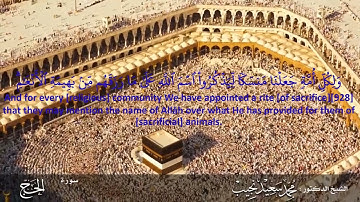 وأذِّن في الناس بالحجِّ يأتوك رجالاً | سورة الحج