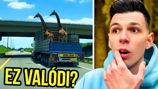 Download Lagu Igazi Vagy Kamu? Nem Fogod Eltalálni! MP3