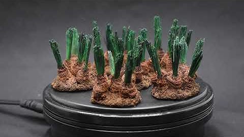 Easy Alien Cacti for tabletop games!