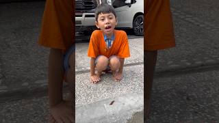 bapak akan lawan