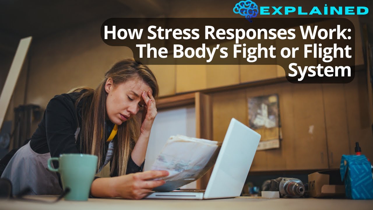 How Stress Responses Work: The Body’s Fight or Flight System - YouTube