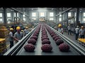 Inside a Modern Mulberry Syrup Processing Factory | Full Process