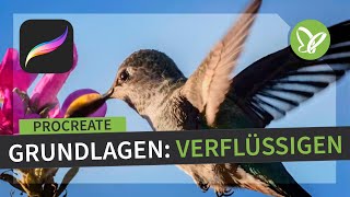 Procreate-Tutorial: Grundlagen zum digitalen Zeichnen auf dem iPad – Verflüssigen screenshot 5