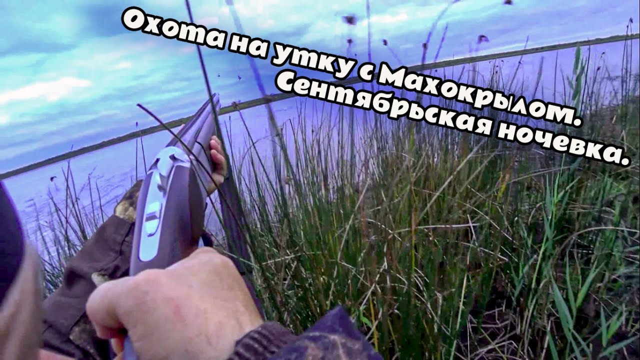 Охота на утку с Махокрылом 2025г. Сентябрьская ночевка.