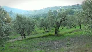 Giorgio Tesi Group - NATURART Pistoia nel Mondo il Mondo a Pistoia
