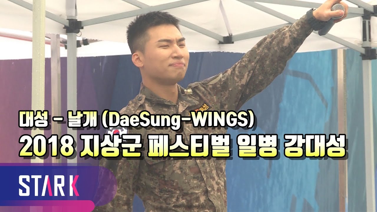 빅뱅 대성, 여전히 흥 넘치는 무대 (BigBang DaeSung, 2018 지상군 페스티벌)