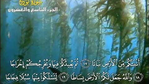 النوح القارئ يوسف بن نوح احمد