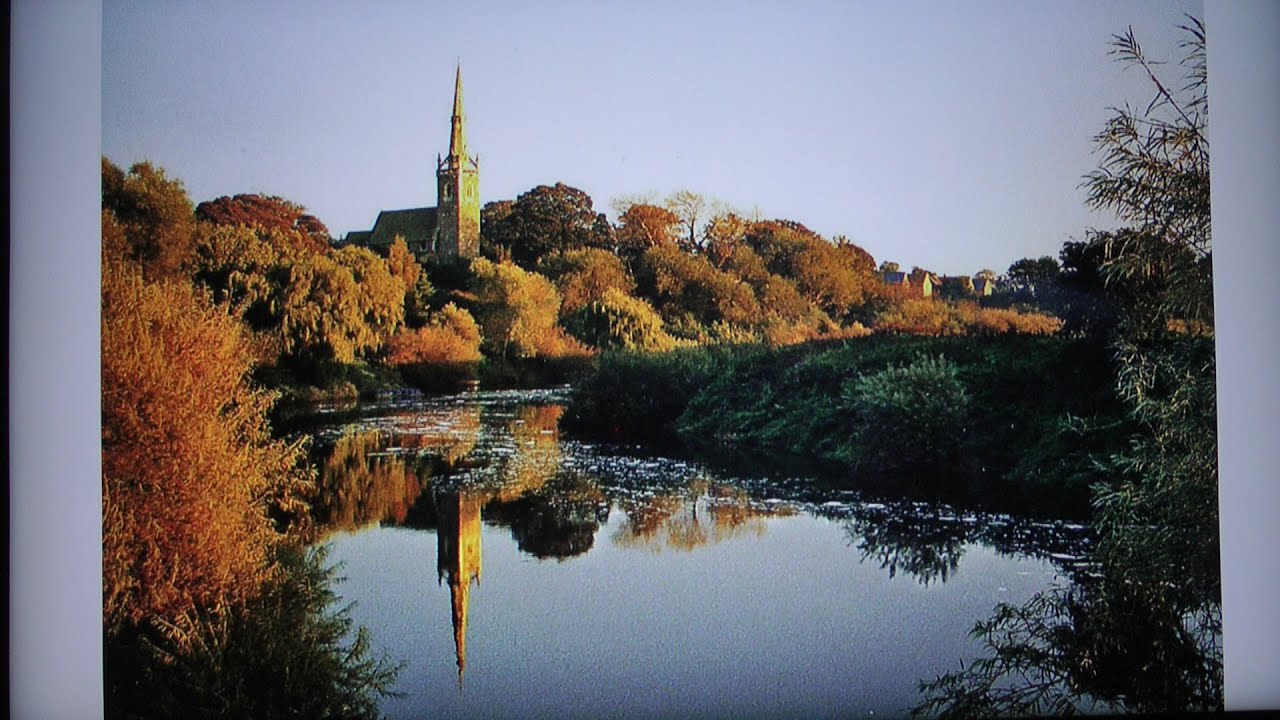 461 Trying in Mid November