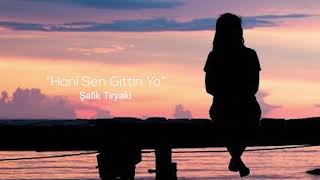 “Hani Sen Gittin Ya” Şefik Tiryaki
