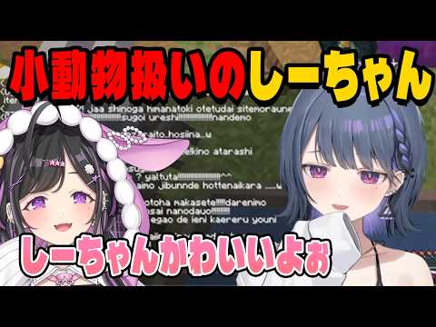チャットで詩乃に小動物扱いされるしーちゃん【にじさんじ切り抜き/小清水透/夜牛詩乃/あらなみマイクラ】