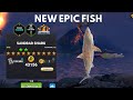 HOW TO START A PERFECT NEW EPIC FISH EVENT / FISHING CLASH GAMEPLAY / NEW FISH / EPIC