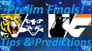 My 2019 AFL Finals Preliminary Finals Tips & Predictions!!!!