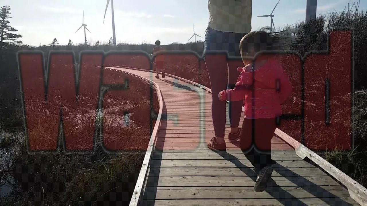 Wild Child falls off boardwalk. Watch Out! Trip to the shore with ocean hawk kid fails / falls