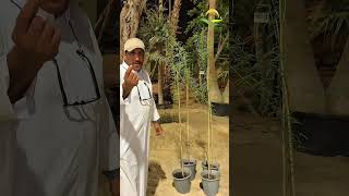 12 أكتوبر، 2025