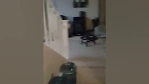 Mannequin challenge
