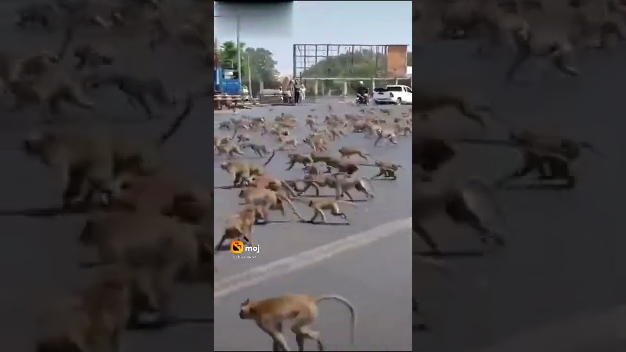 new shayari Hindi sons of the day of a 2022