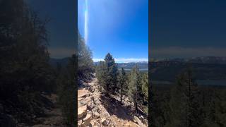 Big Bear Cougar Crest Trail #hiking #backpacking #camping #outdoors #solo #mountains