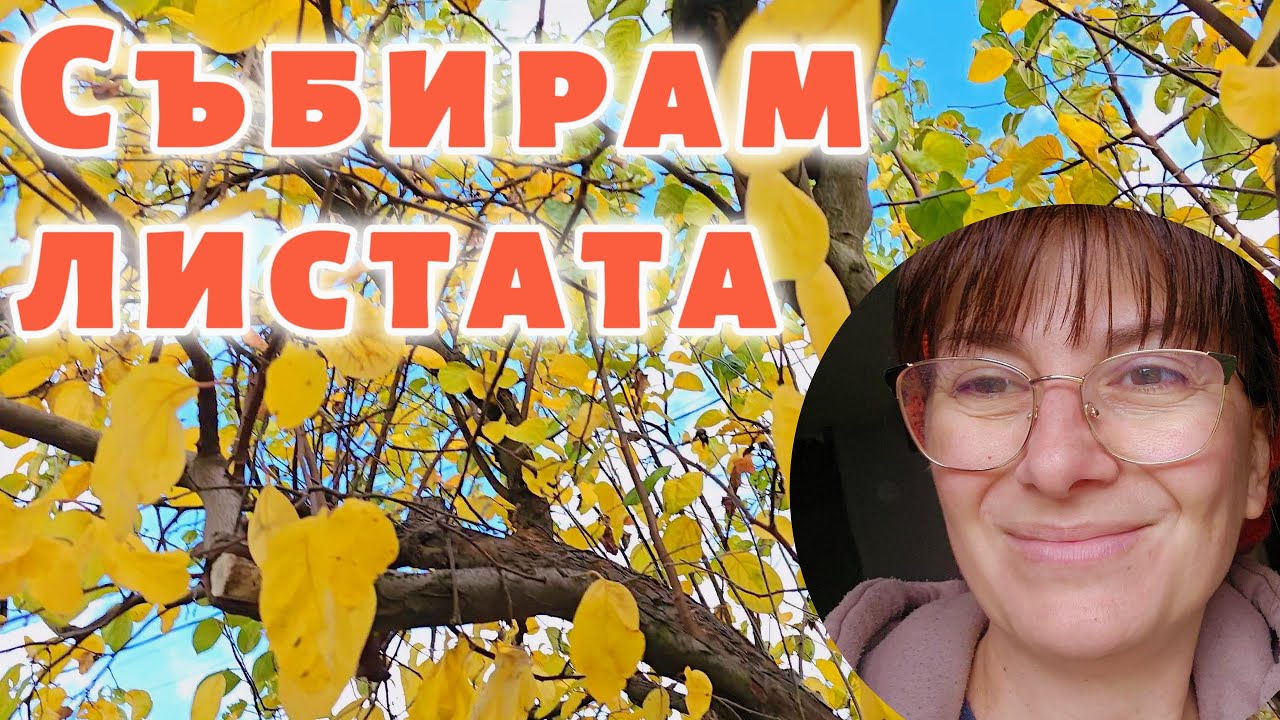 Прахосмукачка за листа Bosch🍂 – чистя целия двор. Живот на село.