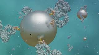Nano Medicine: The Future of Healing By Dr. Marjan Assefi