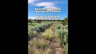 Huge acreage. 40 acres in Nevada for $29,999. #realestate #nevada #foryou #viral #trending #fyp #buy