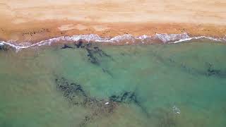Zacharo Beach Παραλία Ζαχάρως