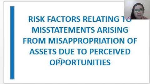 Risk Factors on Misappropriation of Assets