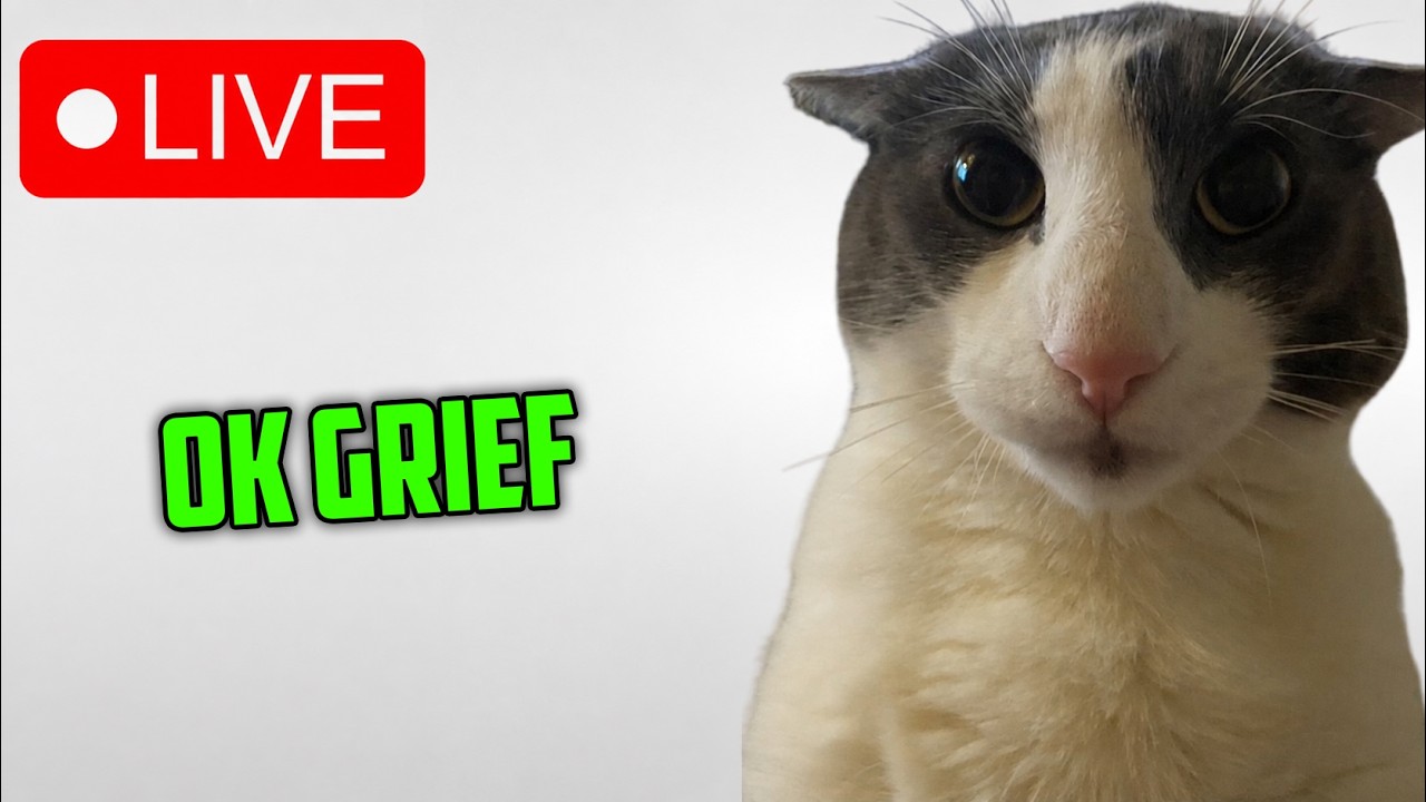 GRIEF Stream 2