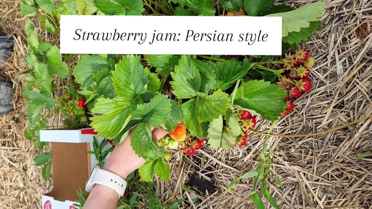 Strawberry jam: Persian style