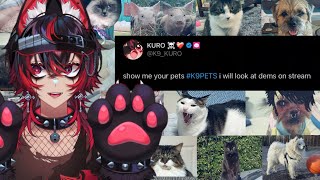 🐶 CHECKING OUT YOUR PETS ON #K9PETS 🐱