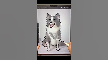 Drawing a Dog