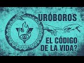 OUROBOROS 🔥 El código de la vida