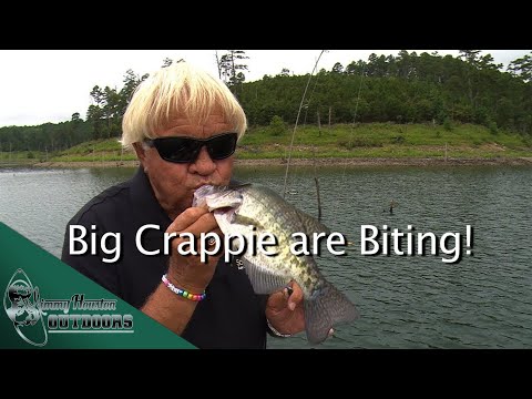 Crappie Fishing 
