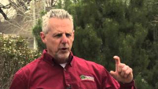 Lawn Care Tips - Denver and along the Front Range