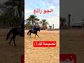نصيحة لك من فارس العرب