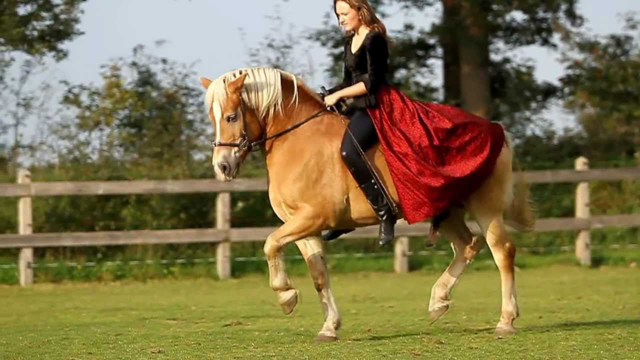 ● Worth Fighting For part one: (trick)training ●