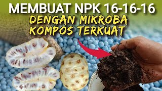 NPK PLUS ZPT DENGAN MIKROBA KOMPOS PALINH KUAT || PUPUK MENGKUDU