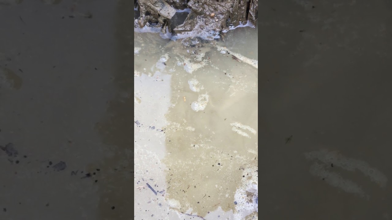Underground Spring In The Backyard Youtube